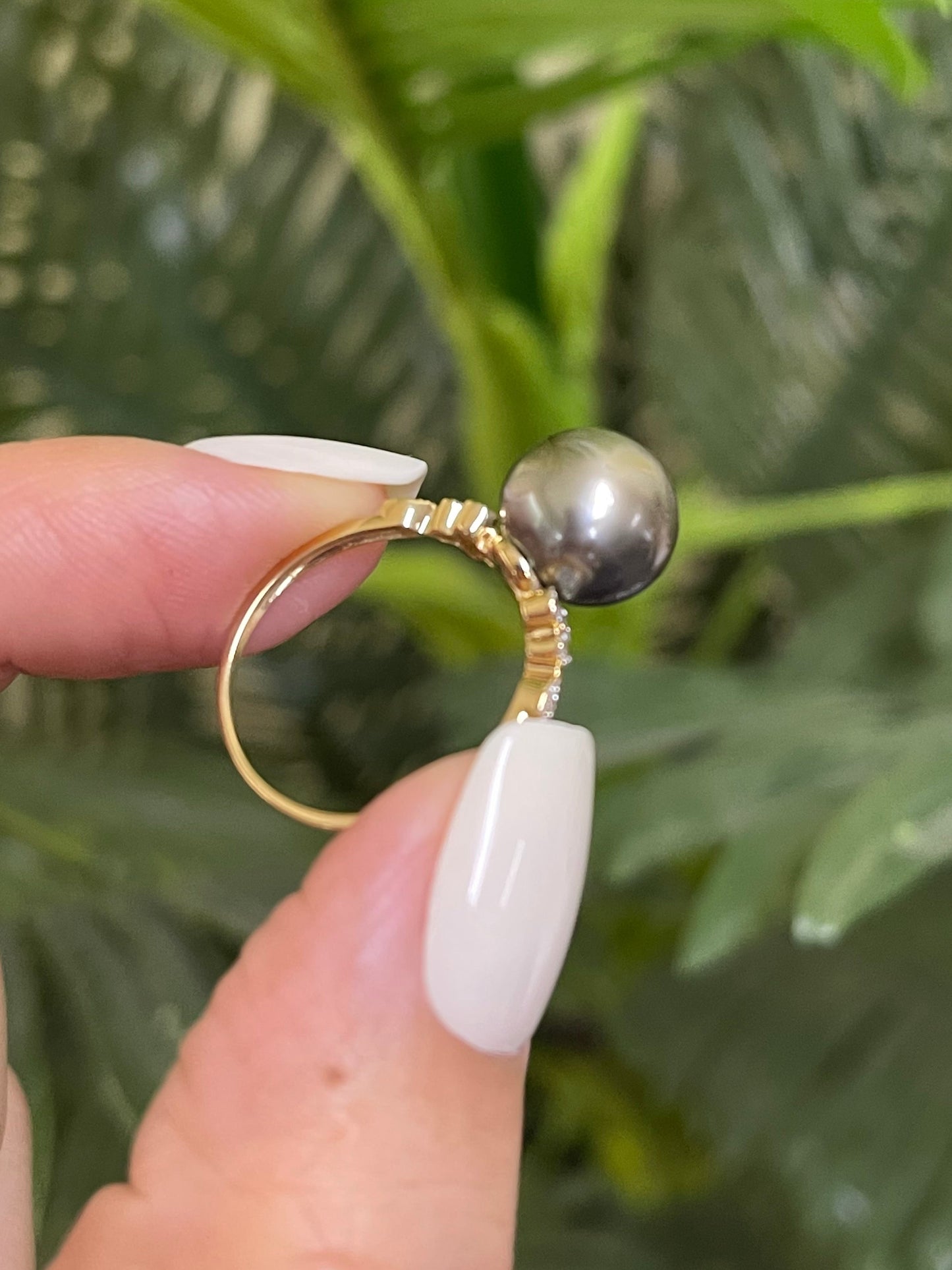 Tahitian Pearl & Diamond Ring In 14ct Yellow Gold