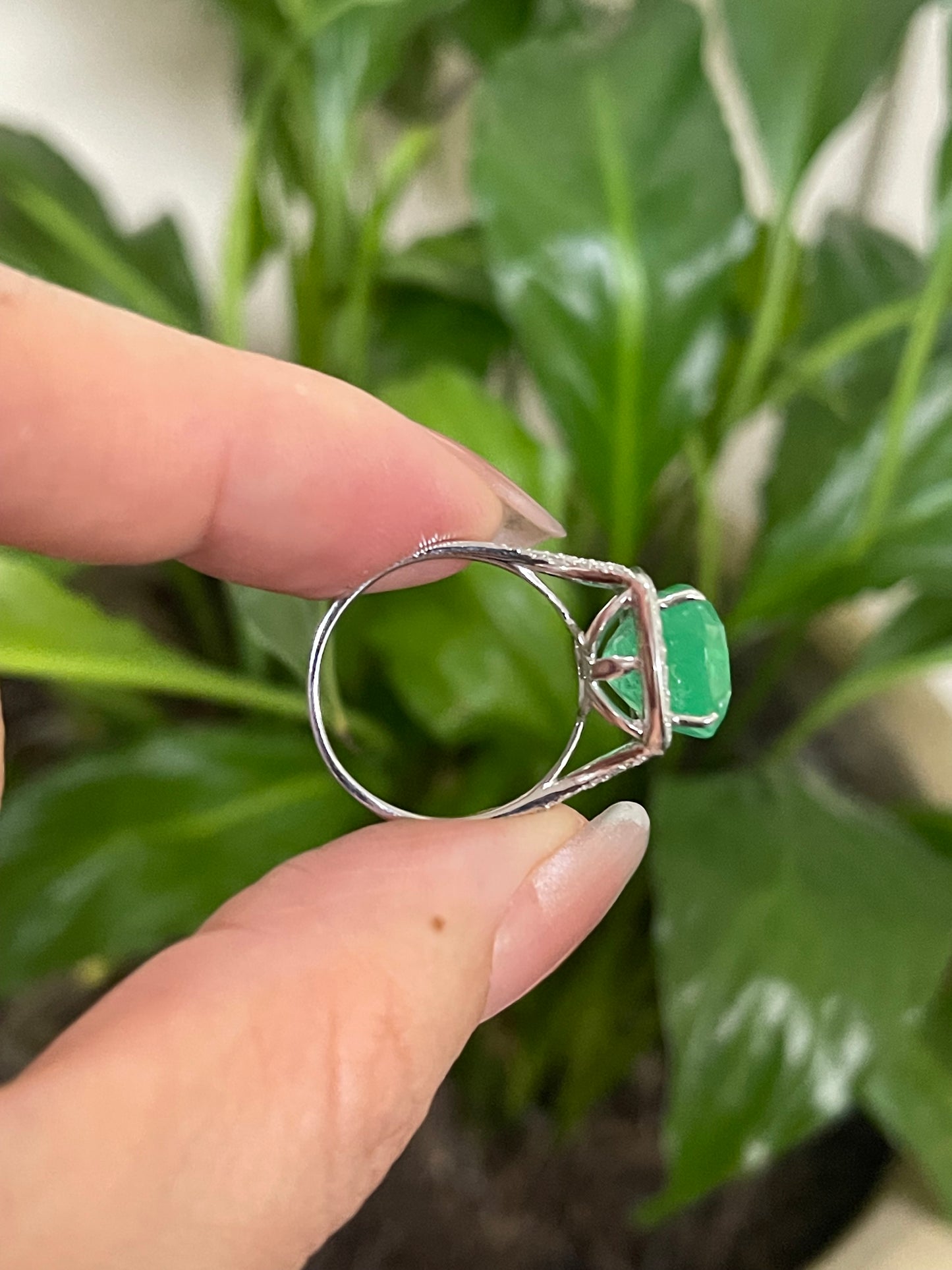 7.23ct Natural Colombian Emerald Diamond Halo Ring In 14ct White Gold