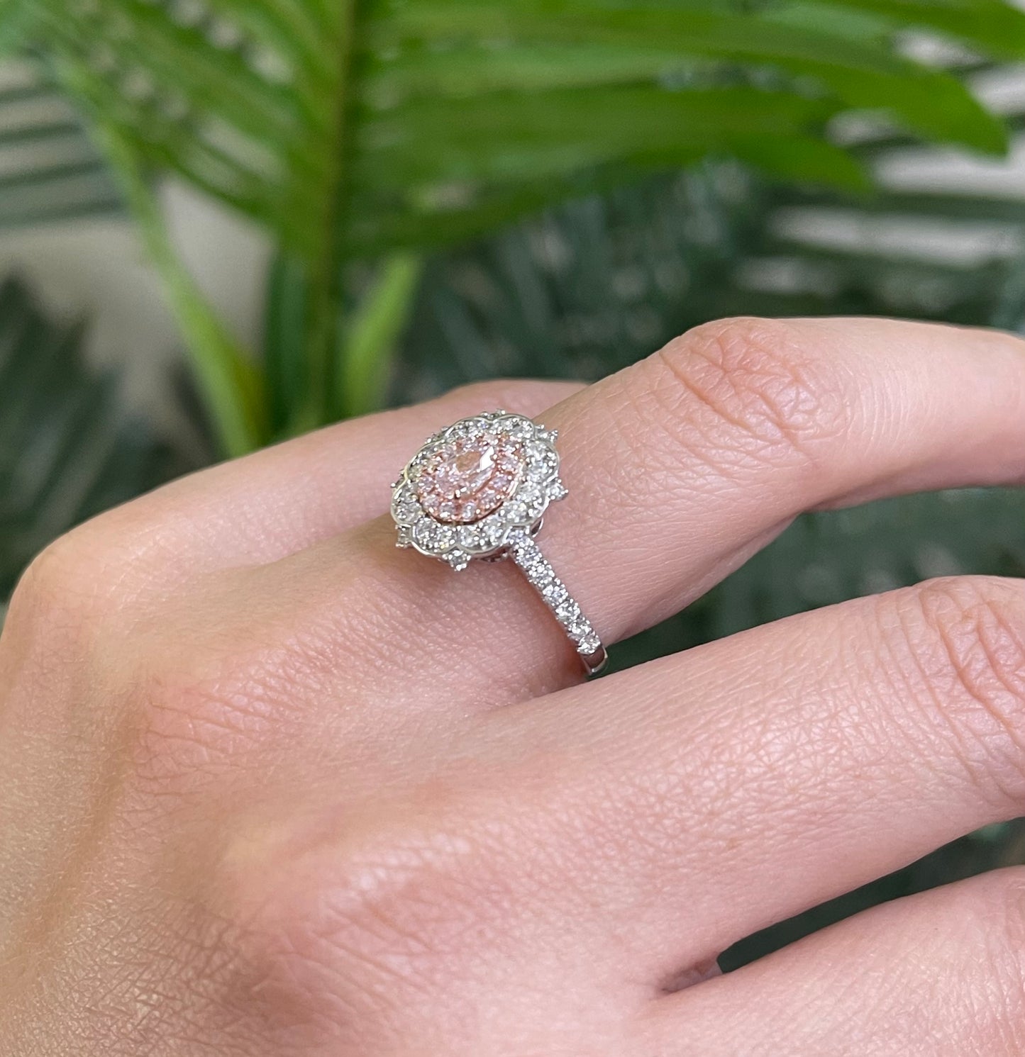 Natural Light Fancy Pink Diamond Ring In 14ct White Gold