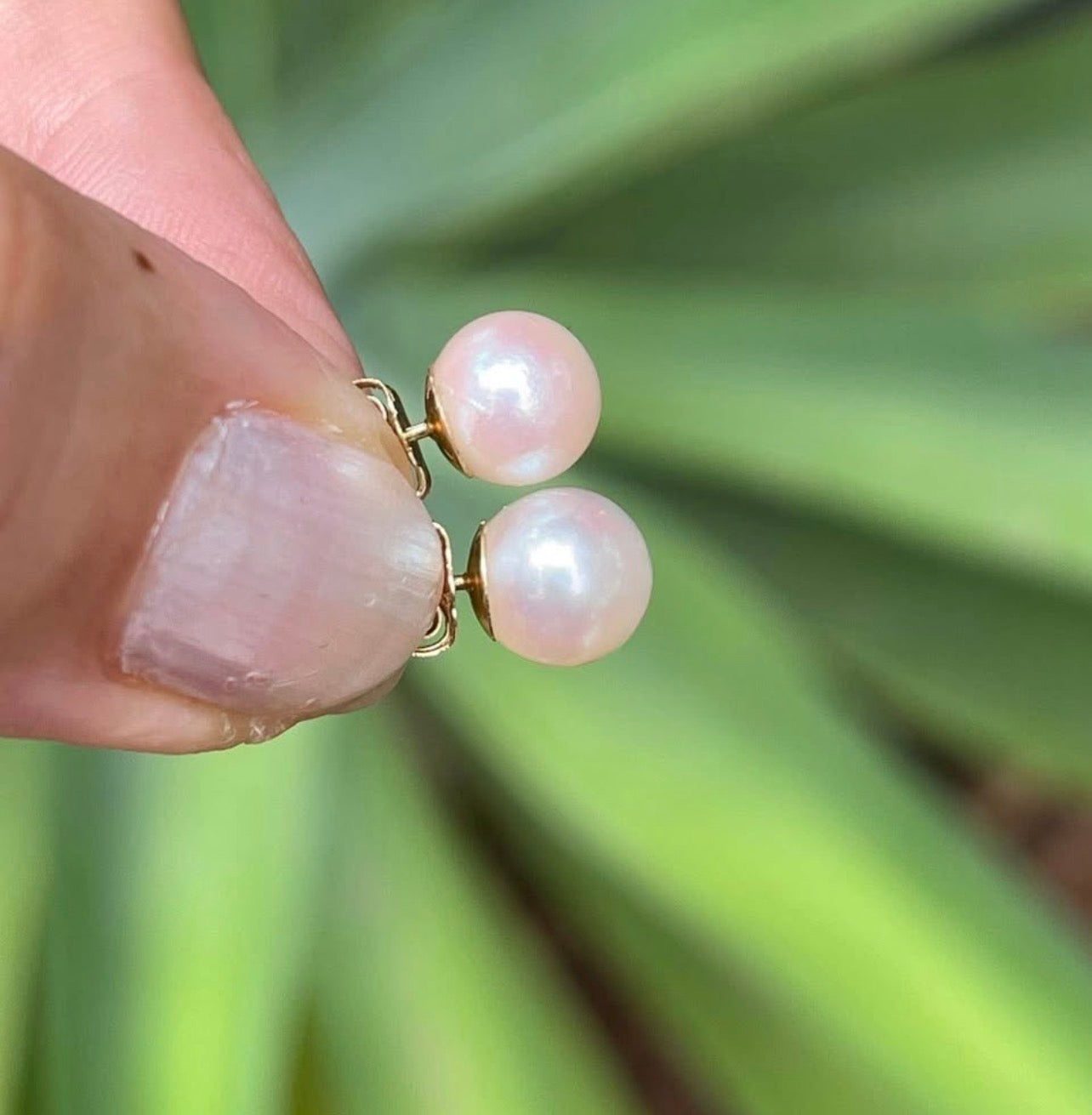 Vintage 14ct yellow gold genuine pink akoya pearl stud earrings