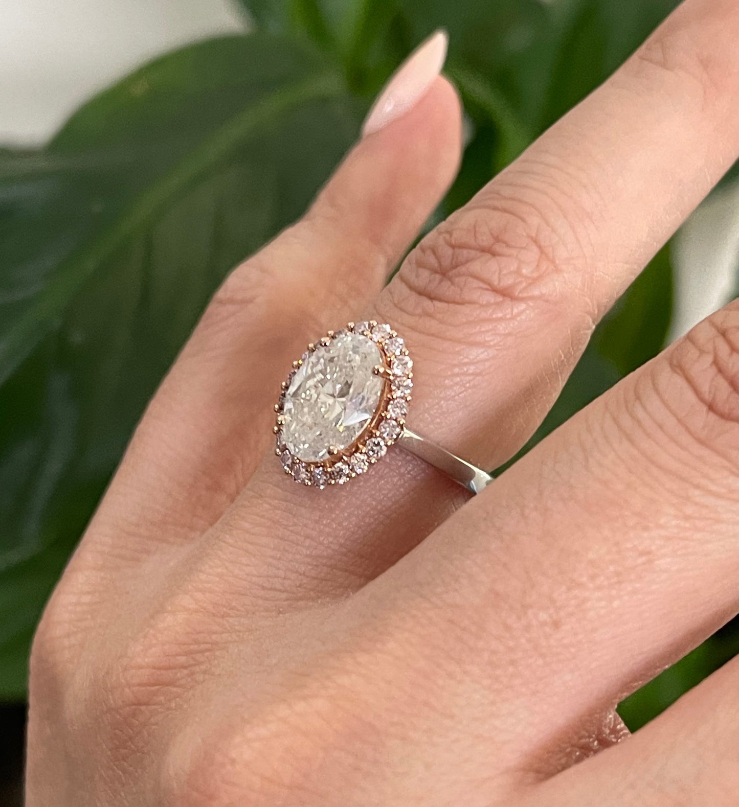 Natural 3.45ct Earth Mined Diamond & Pink Diamond Halo Ring In 14ct White Gold