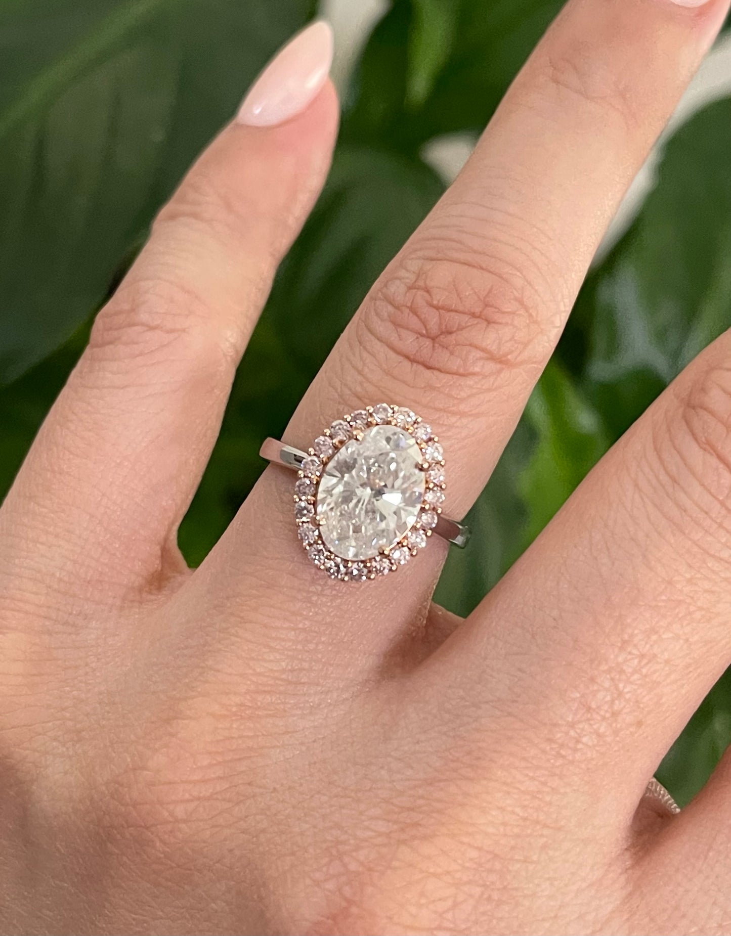 Natural 3.45ct Earth Mined Diamond & Pink Diamond Halo Ring In 14ct White Gold