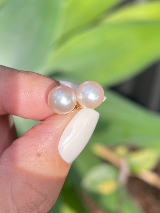 Genuine Light Pink Akoya Pearl Stud Earrings In 14ct Yellow Gold