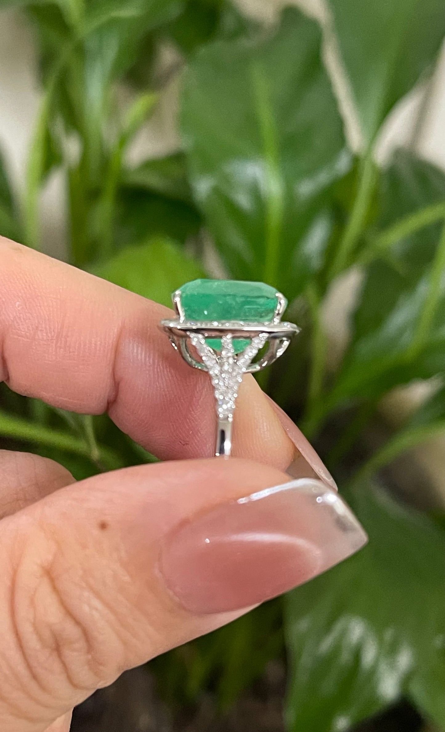 7.23ct Natural Colombian Emerald Diamond Halo Ring In 14ct White Gold