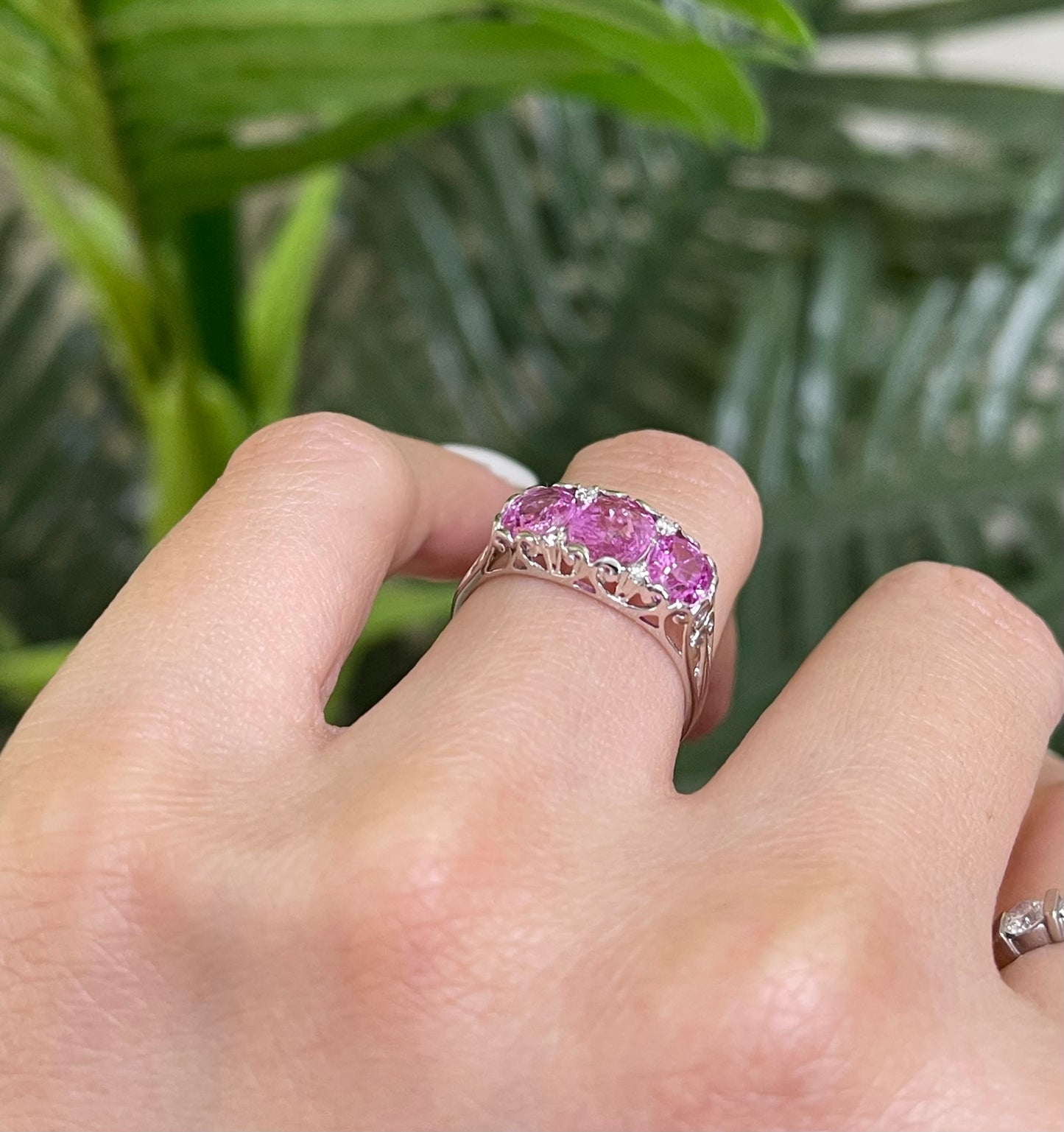 2.62ct Pink Sapphire Diamond Trilogy Ring In 14ct White Gold