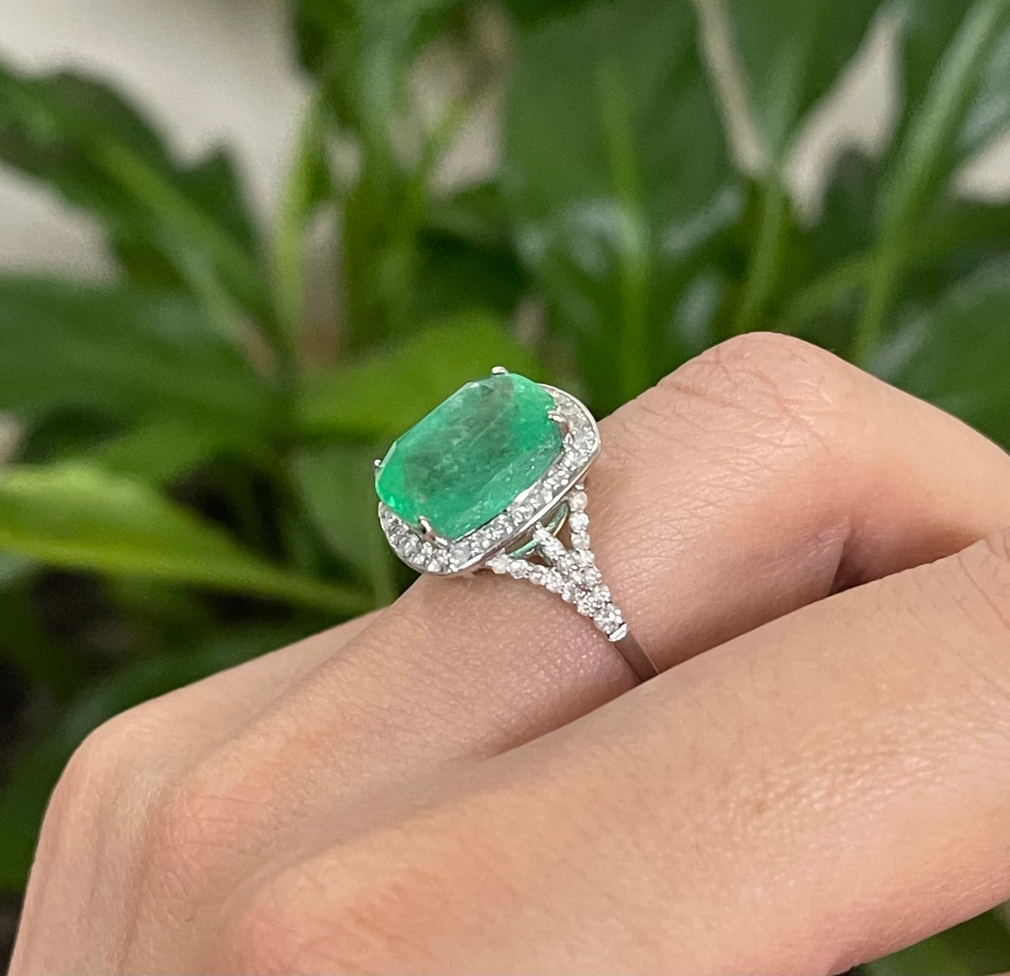 7.23ct Natural Colombian Emerald Diamond Halo Ring In 14ct White Gold