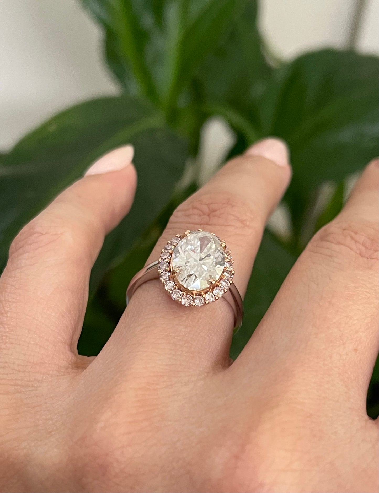 Natural 3.45ct Earth Mined Diamond & Pink Diamond Halo Ring In 14ct White Gold