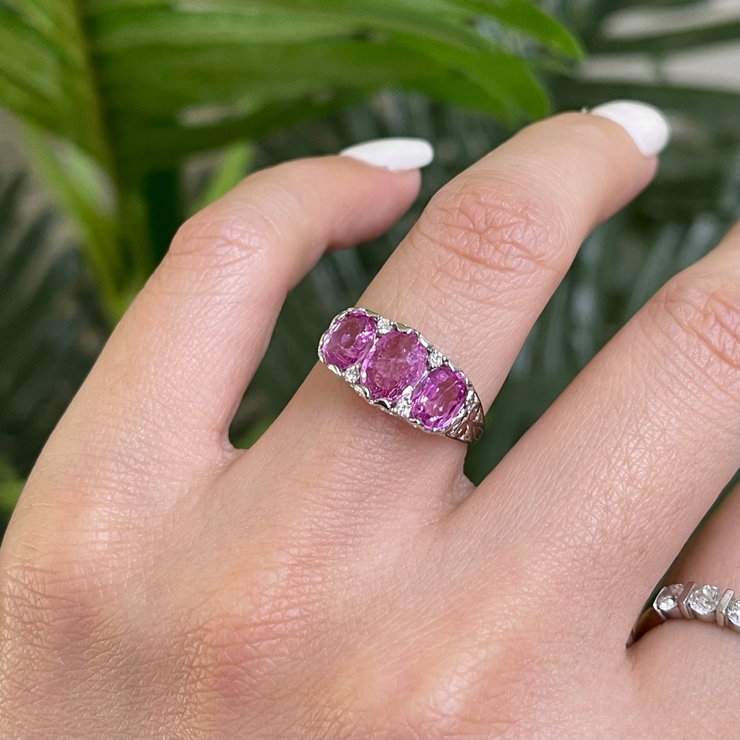 2.62ct Pink Sapphire Diamond Trilogy Ring In 14ct White Gold