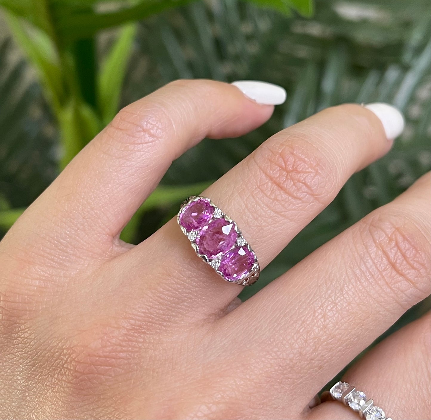 2.62ct Pink Sapphire Diamond Trilogy Ring In 14ct White Gold