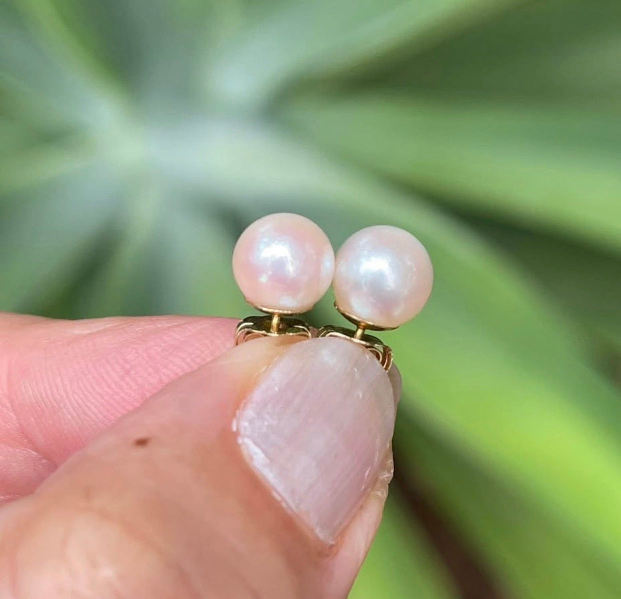Vintage 14ct yellow gold genuine pink akoya pearl stud earrings