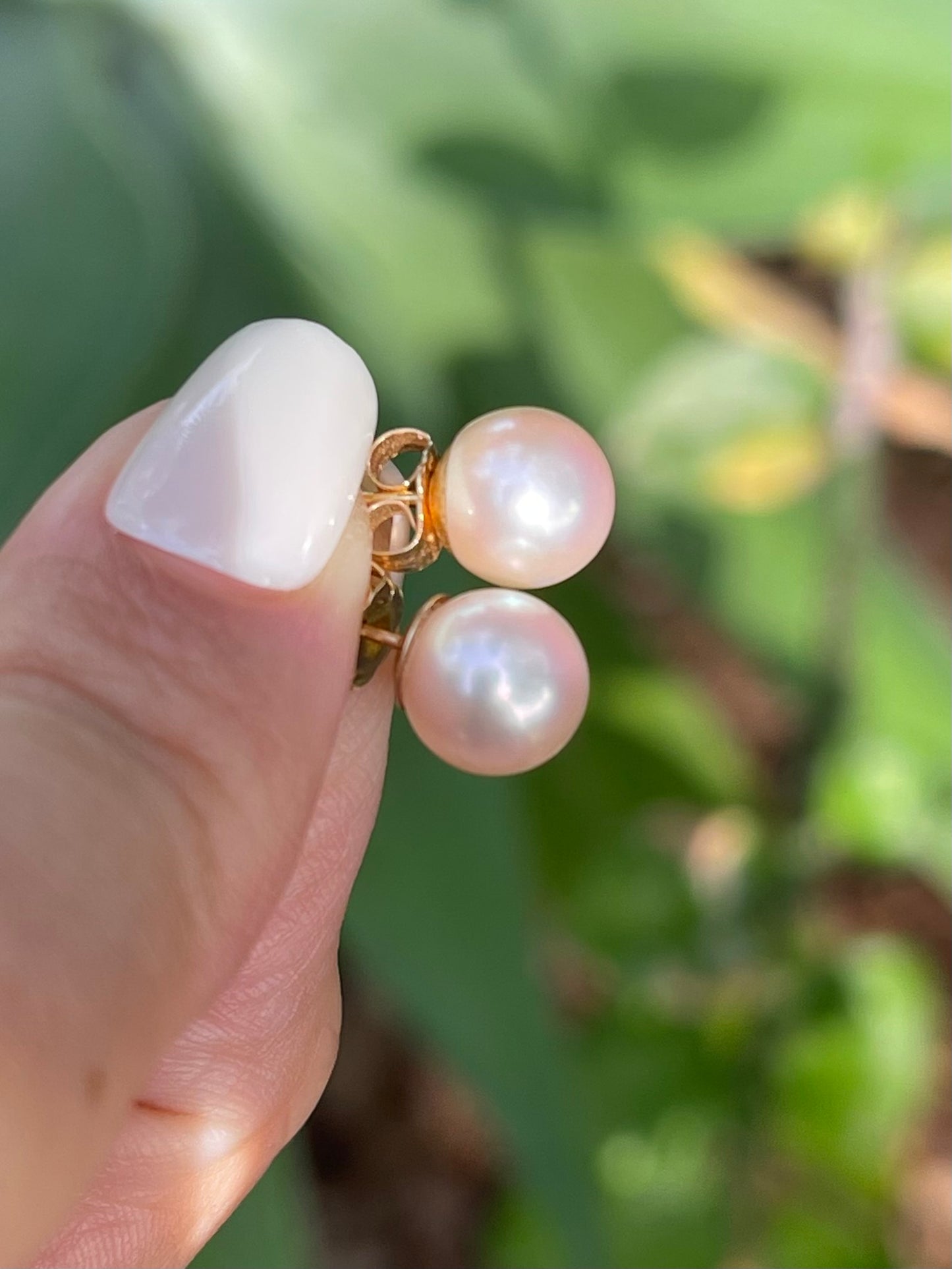 Genuine Light Pink Akoya Pearl Stud Earrings In 14ct Yellow Gold