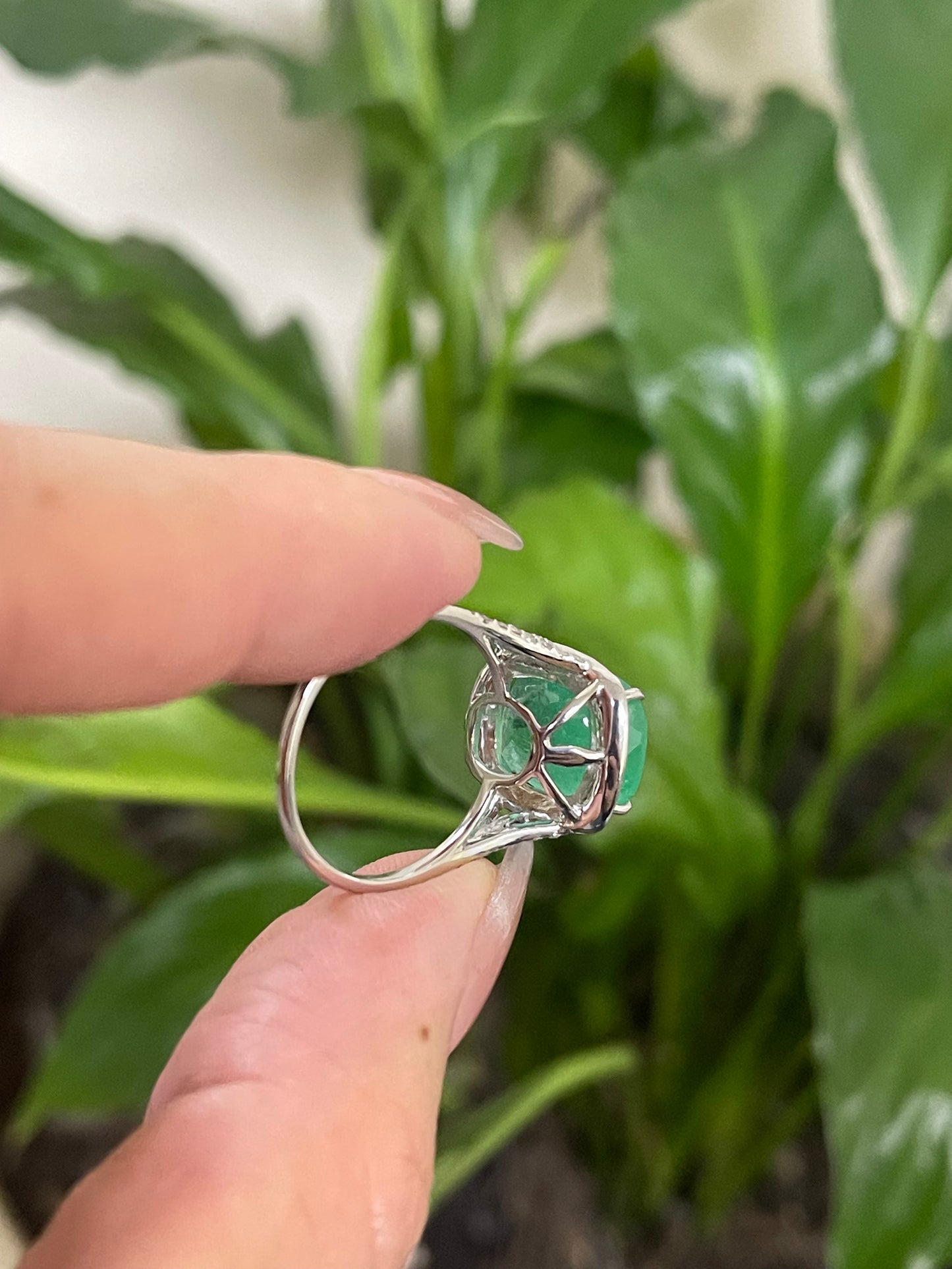 7.23ct Natural Colombian Emerald Diamond Halo Ring In 14ct White Gold