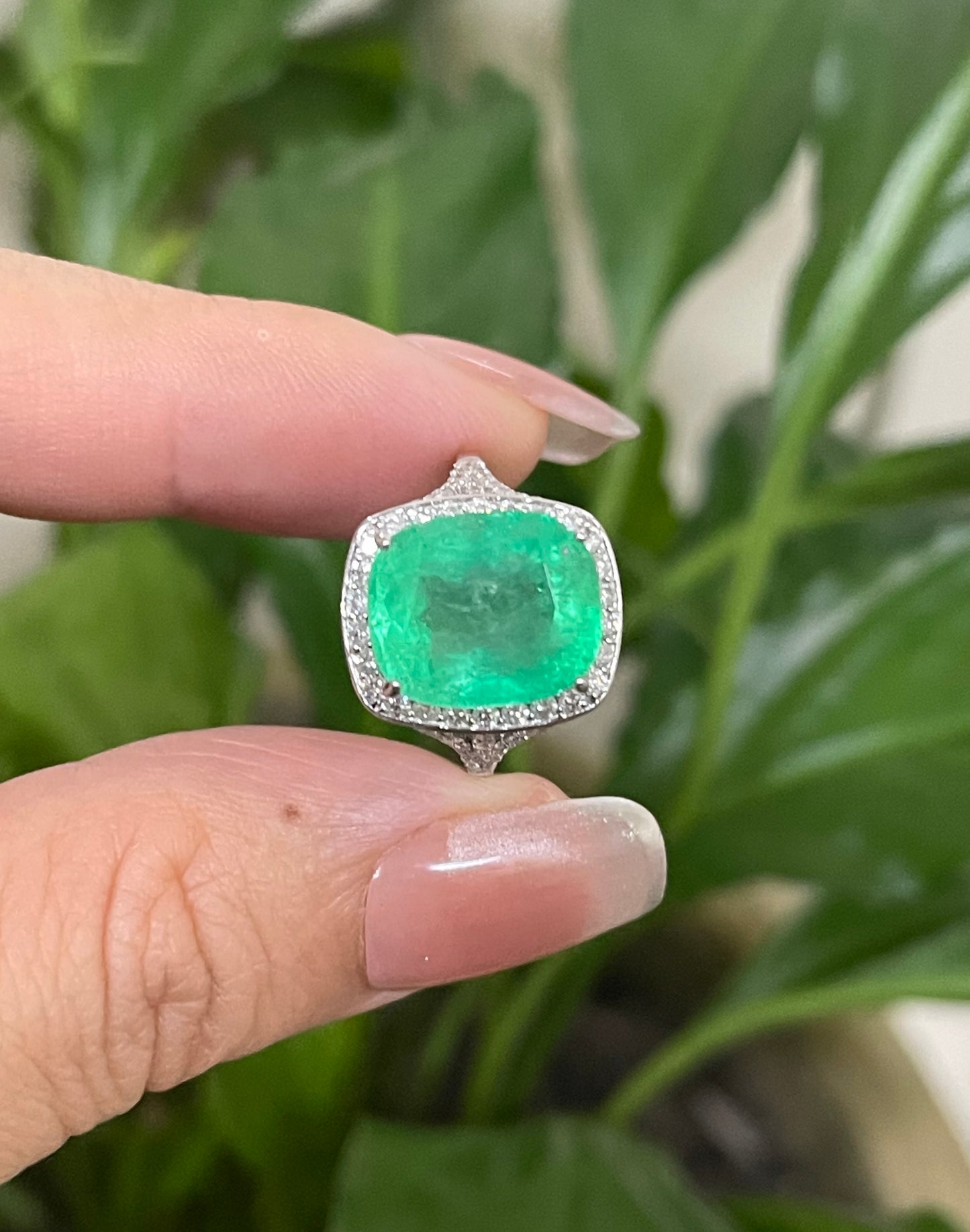 7.23ct Natural Colombian Emerald Diamond Halo Ring In 14ct White Gold