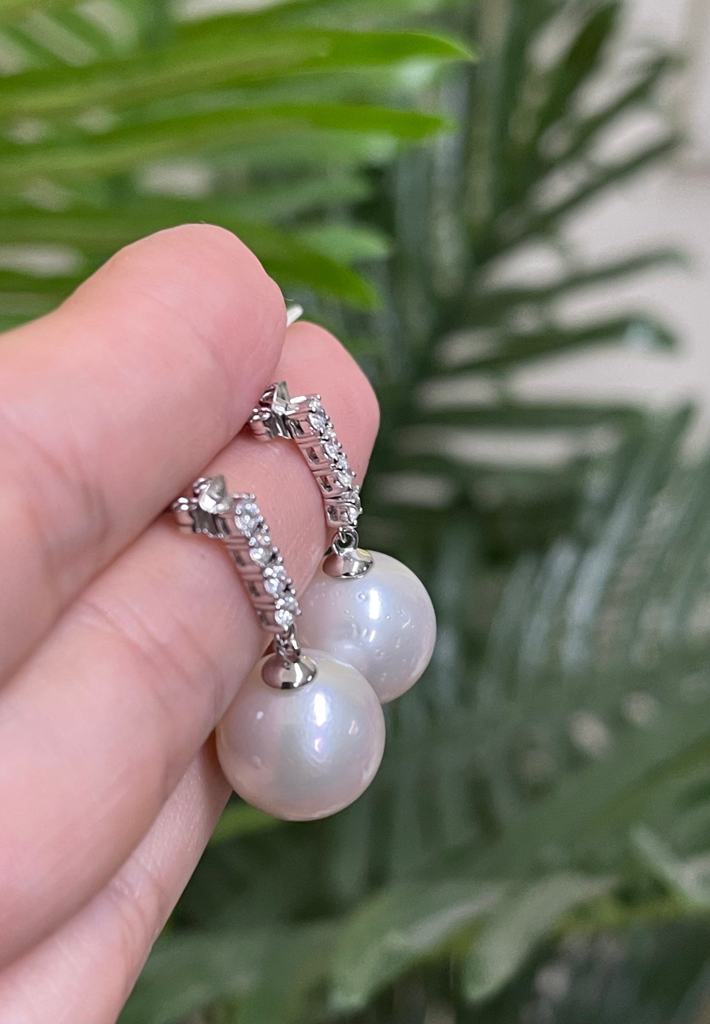South Sea Pearl & Diamond Drop Earrings In 14ct White Gold