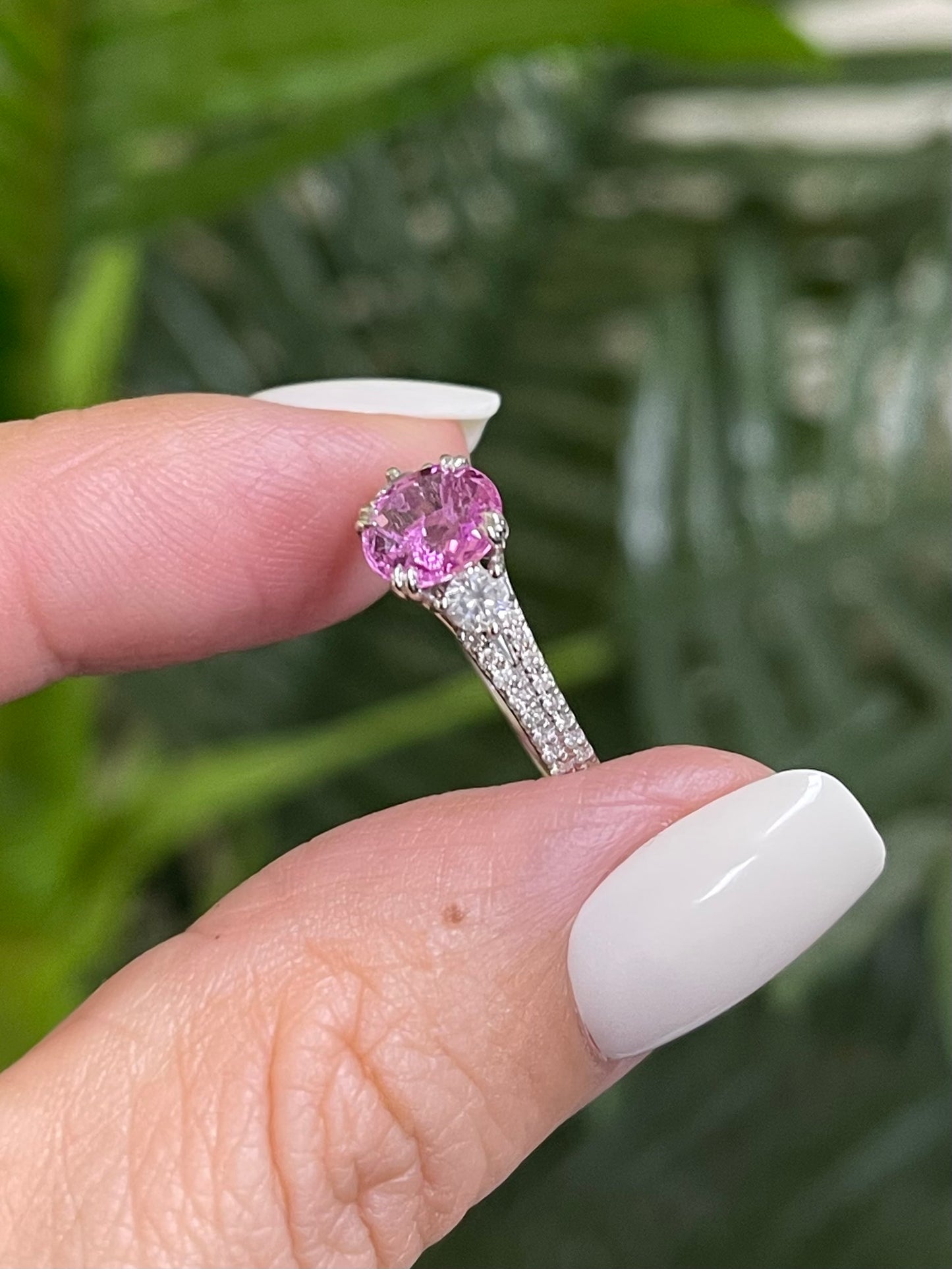 Natural Pink Sapphire Diamond Ring In 14ct White Gold
