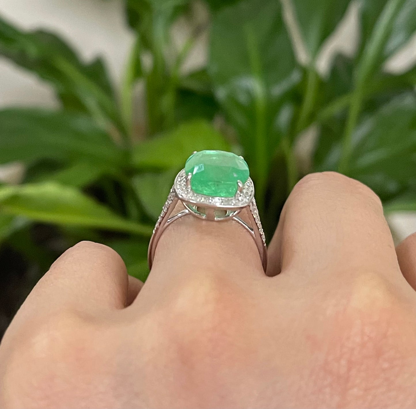 7.23ct Natural Colombian Emerald Diamond Halo Ring In 14ct White Gold