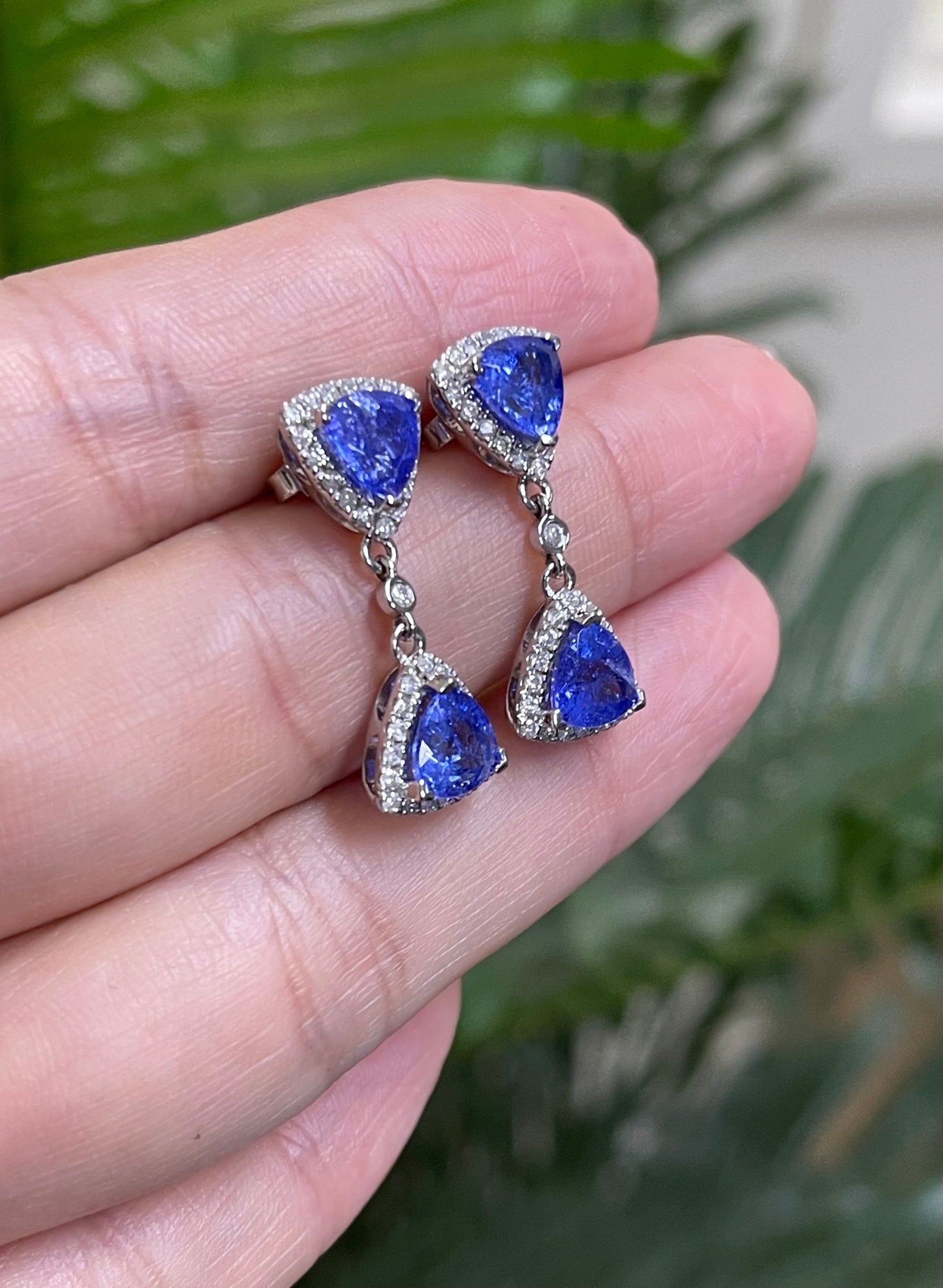 Stunning Tanzanite Diamond Drop Earrings In 14ct White Gold