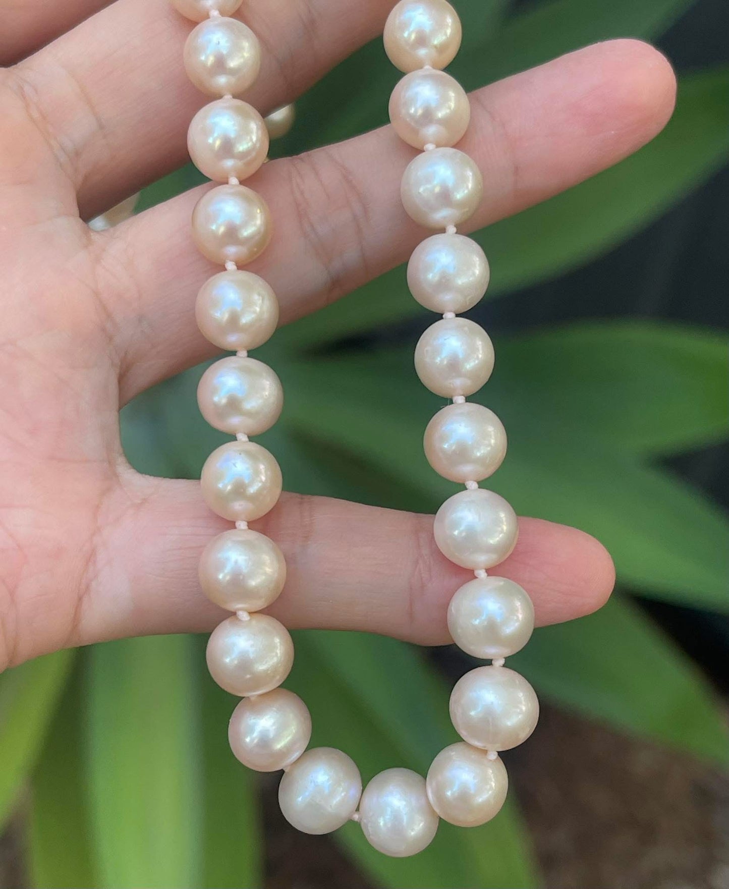 Vintage 9ct yellow gold genuine pink pearl necklace